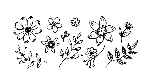 Floral and Leafy Doodle Elements flowers leaves