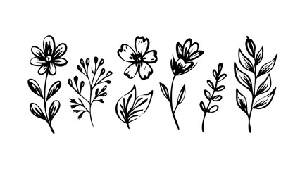 Hand Drawn Ink Floral Elements flowers leaves