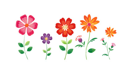 Pink red orange purple flowers blooming vector
