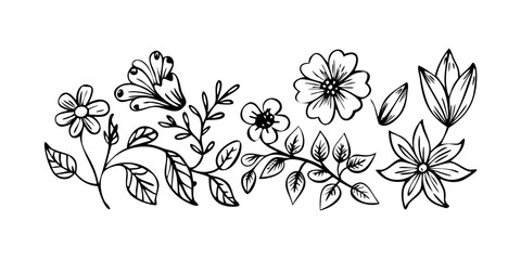 Delicate floral doodle hand drawn botanical