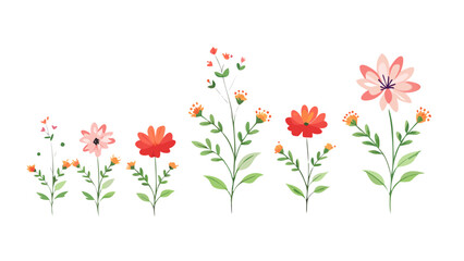 Delicate floral stems with blooming flowers leaves