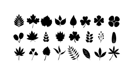 Delicate Grass Stems and Seed Heads stalks nature