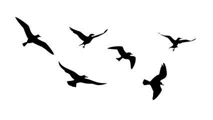Flock of Birds in Flight and Perched flying sitting
