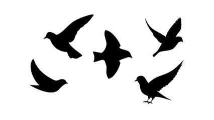 Flock of Birds in Flight and Perched flying silhouette