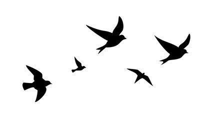Flock of birds in flight and perched flying sitting