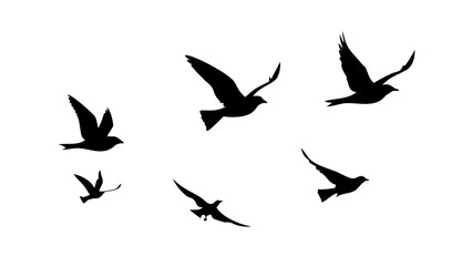 Flock of Crows in Flight birds flying