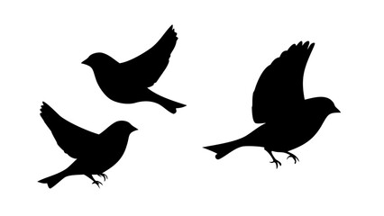 Male Athlete Running runner sport