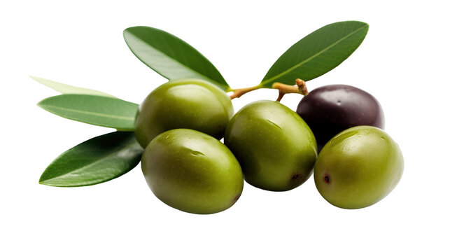 Fresh green olives on leaves