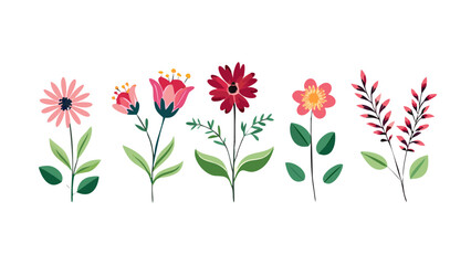 Pink and red flowers with green leaves floral nature