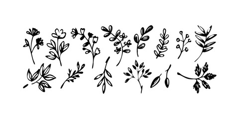 Rough Ink Brush Flower Petals organic