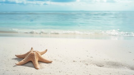 Minimalist Summer Beach Background: Sunny Sky, Blue Ocean & Starfish for Advertising