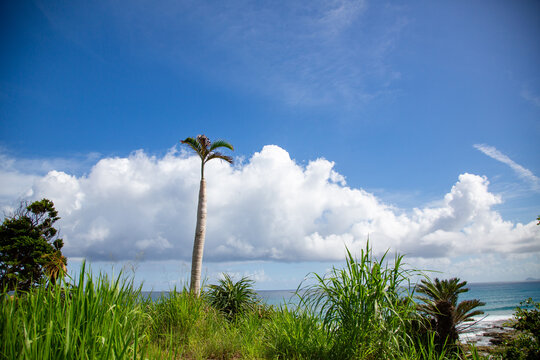 奄美大島のの夏の空、