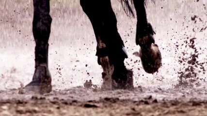 powerful horse races through the rain-soaked terrain, splashing mud as it gallops. The vibrant environment showcases the intensity of the moment in a captivating setting.