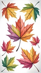 Colorful Autumn Maple Leaves in Variety of Shapes on White Background