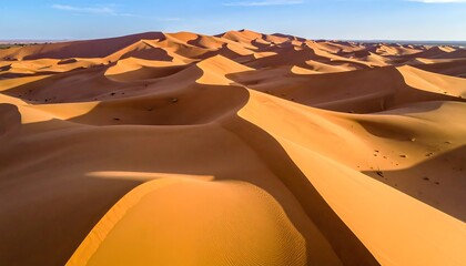 Aerial View of Barchan Dunes with Diagonal Ridges under Blue Sky and Long Gold Shadows