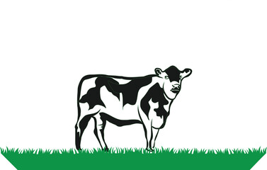 cow on grass