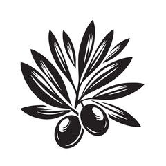 black Olive  Silhouette Vector, High Quality Illustration on White Background
