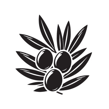 black olives branch leaves clip art preview