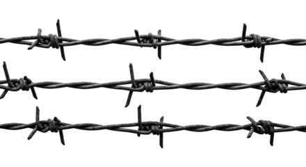 Three strands of sharp, dark barbed wire against a stark black background