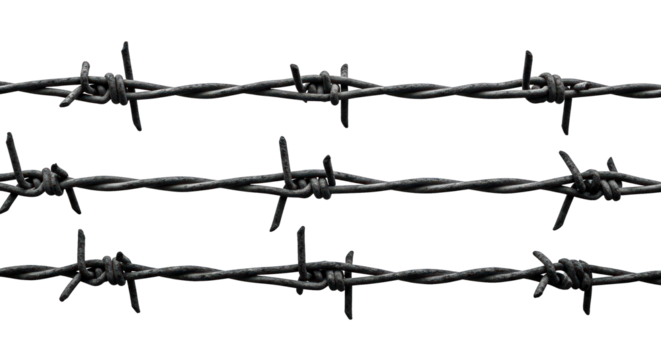 Three strands of sharp, dark barbed wire against a stark black background