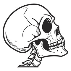 Realistic human skull anatomical drawing mockup for medical and Halloween designs