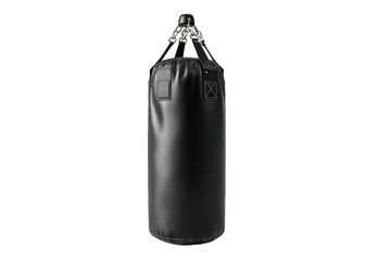 Black boxing punching bag