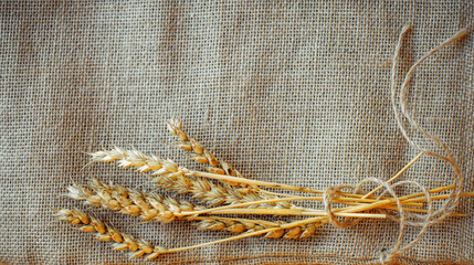 Close up of wheat ears placed on rustic burlap fabric Agriculture harvest and natural  autumn background concept