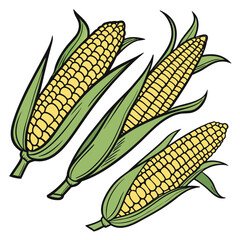 corn cobs isolated on white and beautiful look, corn, food, cob, vegetable, maize, yellow, isolated, agriculture, crop, fresh, grain, plant, green, healthy