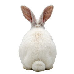 Rear view of a fluffy white rabbit with long ears and a small tail, isolated on transparent background