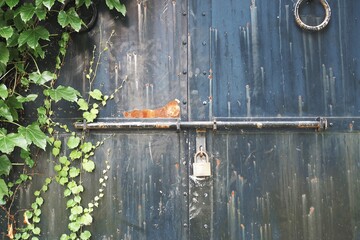 Scenery of a rural town in Hokkaido
