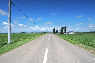 Fototapeta premium Rural roads in Hokkaido