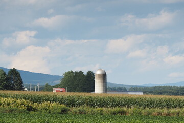 Rural landscape with a silo