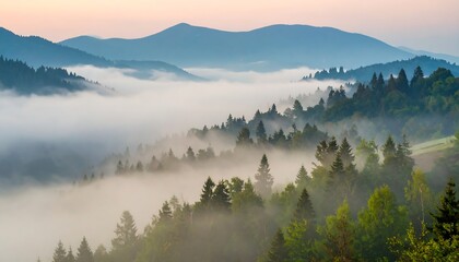 Fototapeta premium Fog blankets wooded ridges
