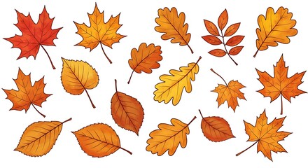 Collection of colorful autumn leaves in various shapes and sizes, hand drawn style, fall season elements.