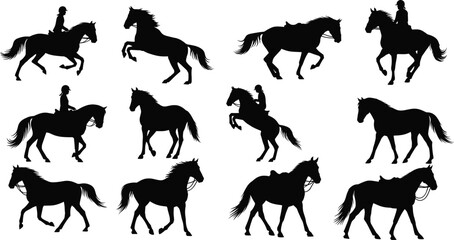 Silhouette of horses and riders in various poses, horseback riding, equestrian sport, horse jumping, horse walking, horse training
