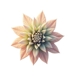 A detailed, stylized flower design, featuring intricate, pastel-toned petals, radiating outward from a central point, against a striking black background.