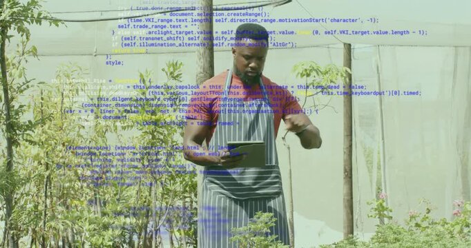 Nursery worker tapping tablet screen initiating animated health overlay monitoring seedling growth