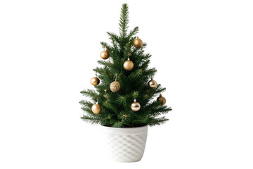 Small tabletop Christmas tree in white pot with gold ornaments and textured decorations, isolated on a transparent background