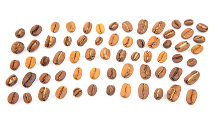 Assorted coffee beans arranged in an organized pattern for roasting and tasting purposes