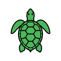 Green Sea Turtle Swimming in Ocean Waters with a Transparent Background