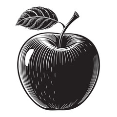 Black apple Silhouette Vector, High Quality Illustration on White Background