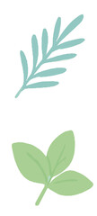 Flat design botanical elements for spring decor.