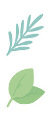 Soft-colored botanical leaves and branch illustration.