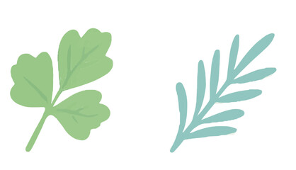 Minimalist botanical illustration with two distinct leaves.