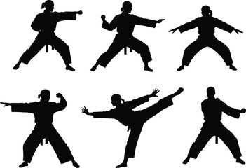 Martial arts silhouette practicing moves, karate poses, self-defense technique, black belt training, fighting stances, combat sport illustration for design.