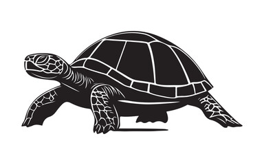 Fototapeta premium turtle on the beach