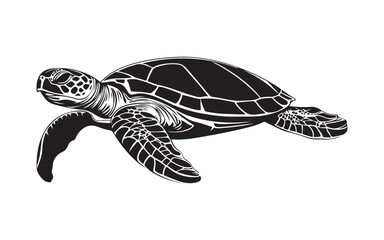 Obraz premium turtle on the water