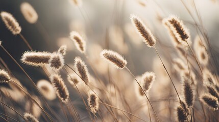 Fototapeta premium A serene scene featuring soft, tall grasses swaying gently in the breeze, illuminated by warm sunlight, evoking a sense of calm and tranquility.