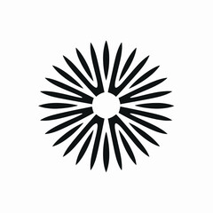 Fototapeta premium Striking radial burst design in black and white circular vector silhouette