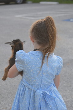 little girl playing with her goat kid